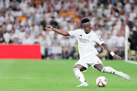 在拳击界 在拳击界